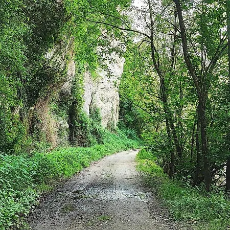 La Mare Aux Saules